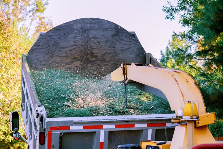fotografía de Triturado y reciclaje de restos vegetales en Valencia hecho por Jardinería Gartalia en Valencia