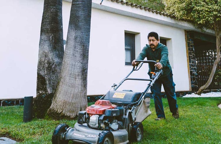 fotografía de Mantenimiento de comunidades en Picassent hecho por Jardinería Gartalia en Valencia