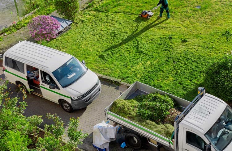 fotografía de Limpieza de parcelas en Picassent hecho por Jardinería Gartalia en Valencia